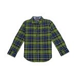 Cotton Full Sleeves Blue and Green Checker Shirt