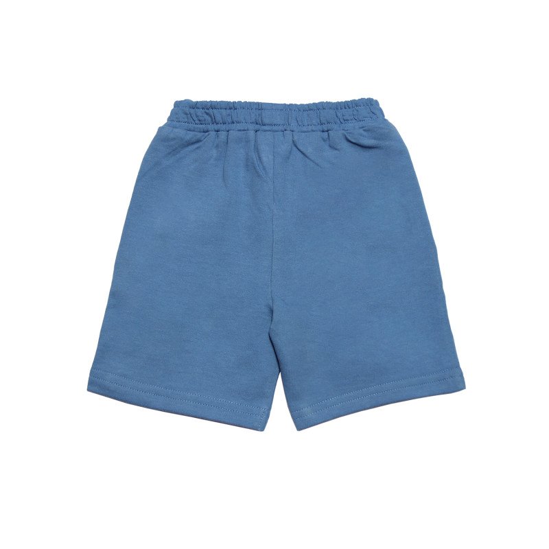 Boys Cotton Shorts Blue