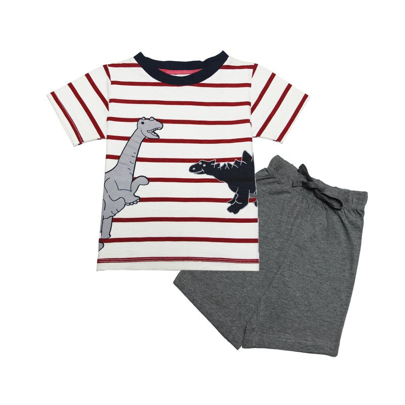 Dinosaaur Printed Shorts and Tshirt (Top) Set